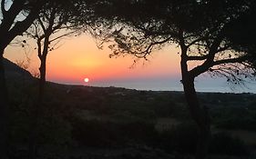 Ustica La Pinetina